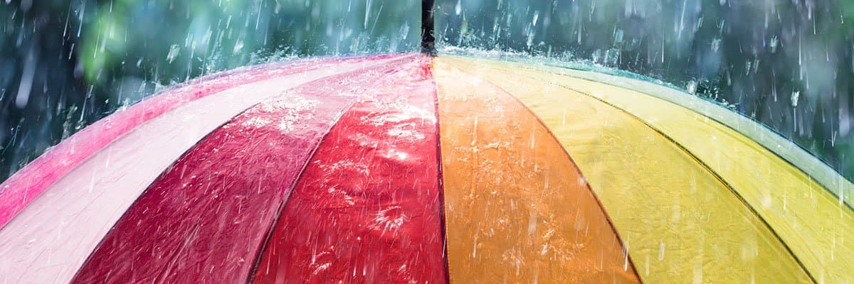 Umbrella Companies Not Working for IT Contractors, Survey Finds